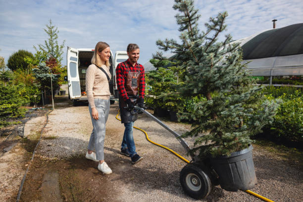 How Our Tree Care Process Works  in  Fox Lake, WI