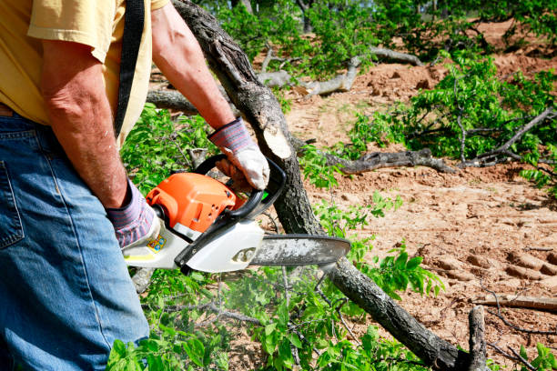 Lawn Grading and Leveling in Fox Lake, WI